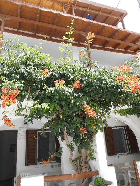Summerfell Agia Anna  Exterior photo